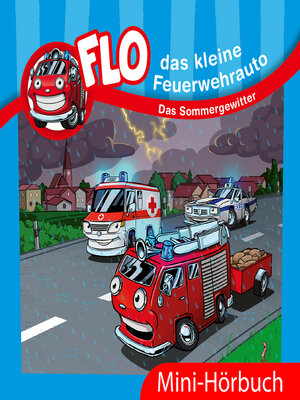 cover image of Das Sommergewitter
